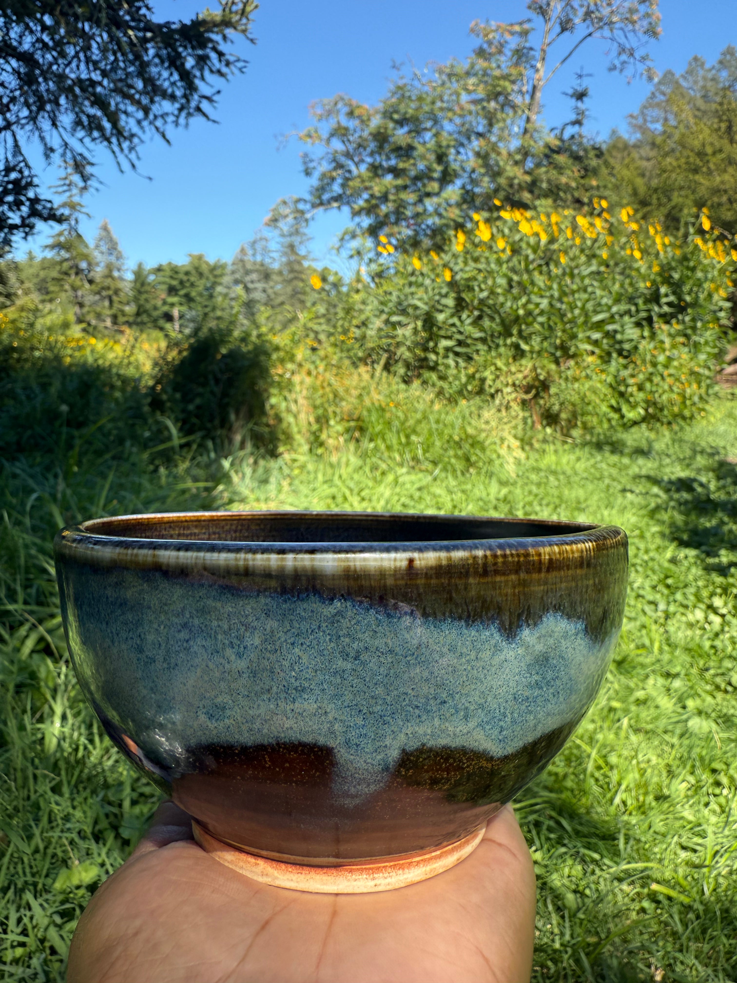 Earth and Sky Bowl