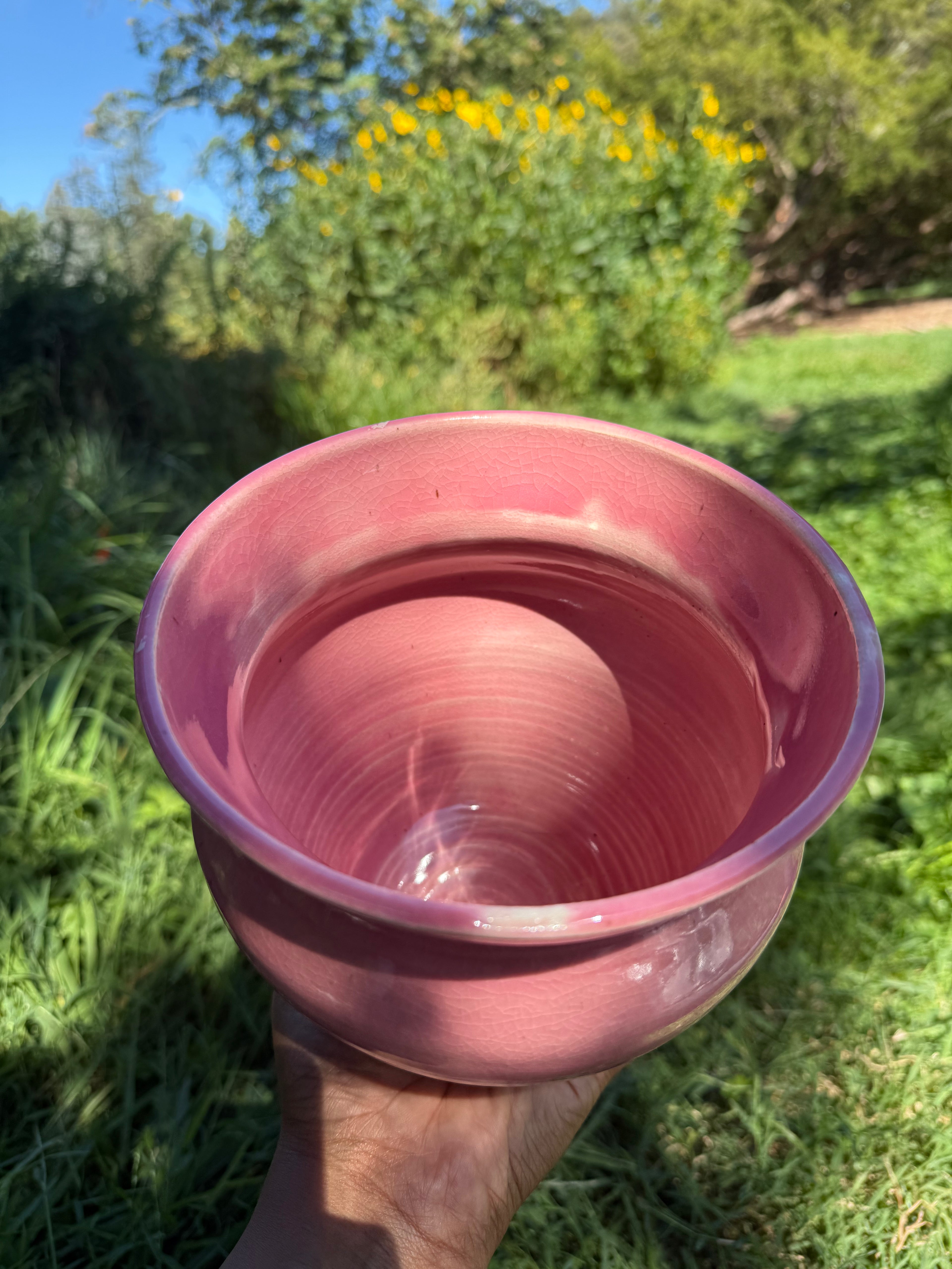 Princess Pink Vase