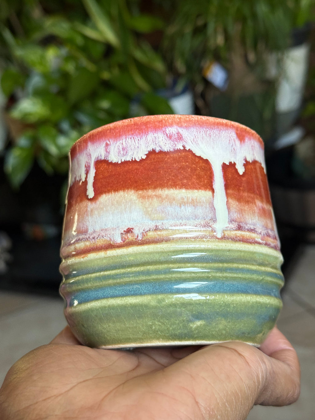 Sunset Meadow Cup