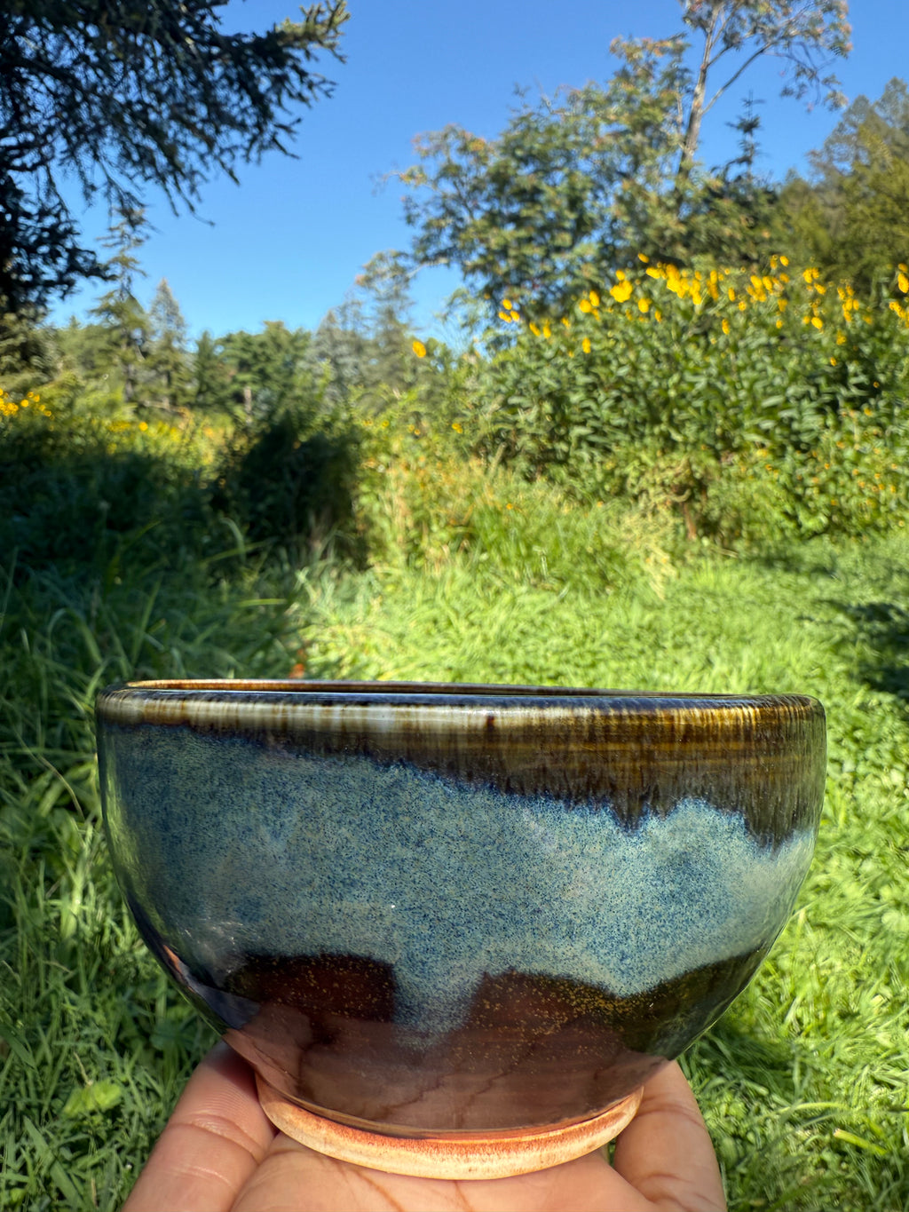 Earth and Sky Bowl