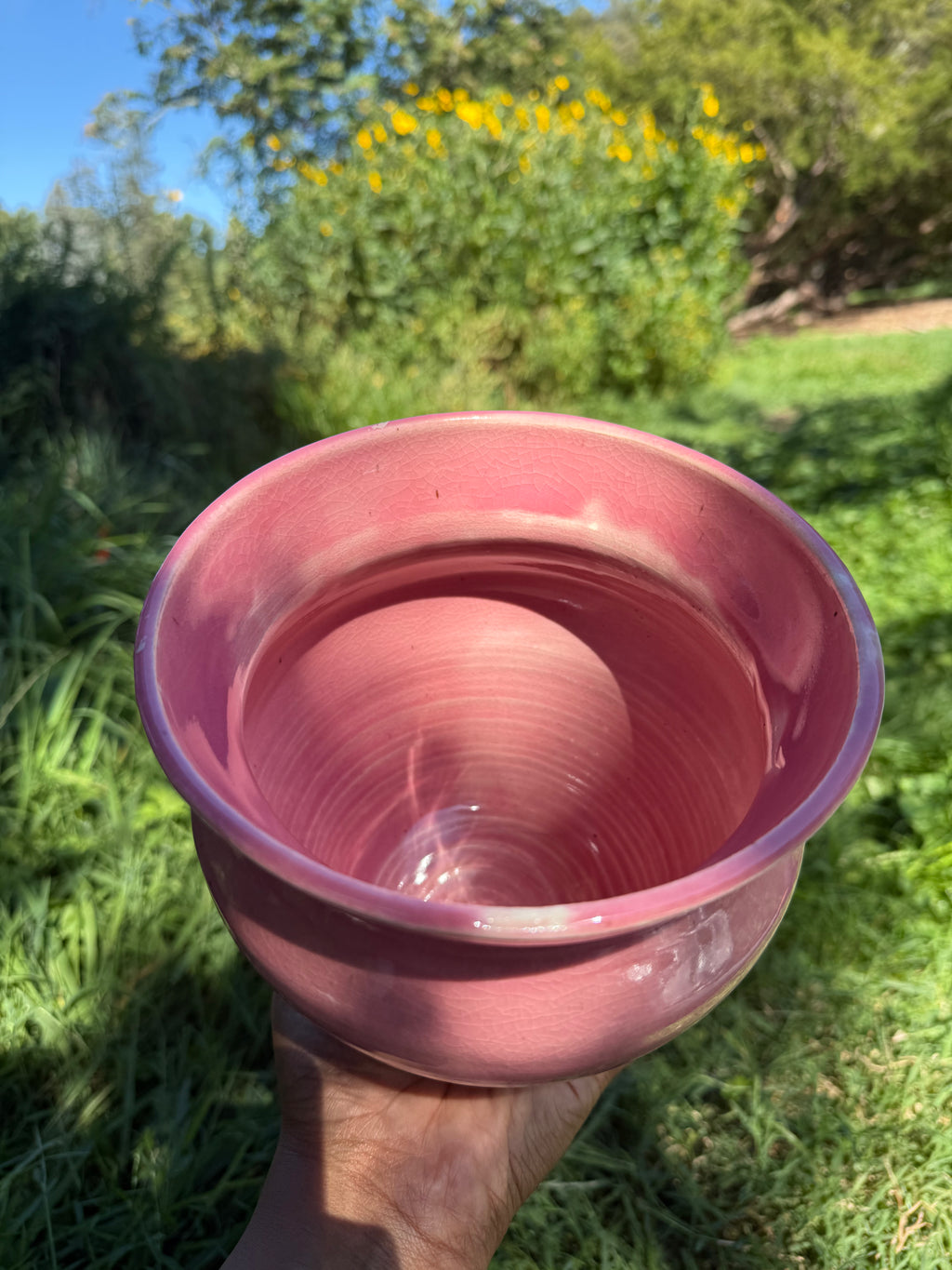 Princess Pink Vase