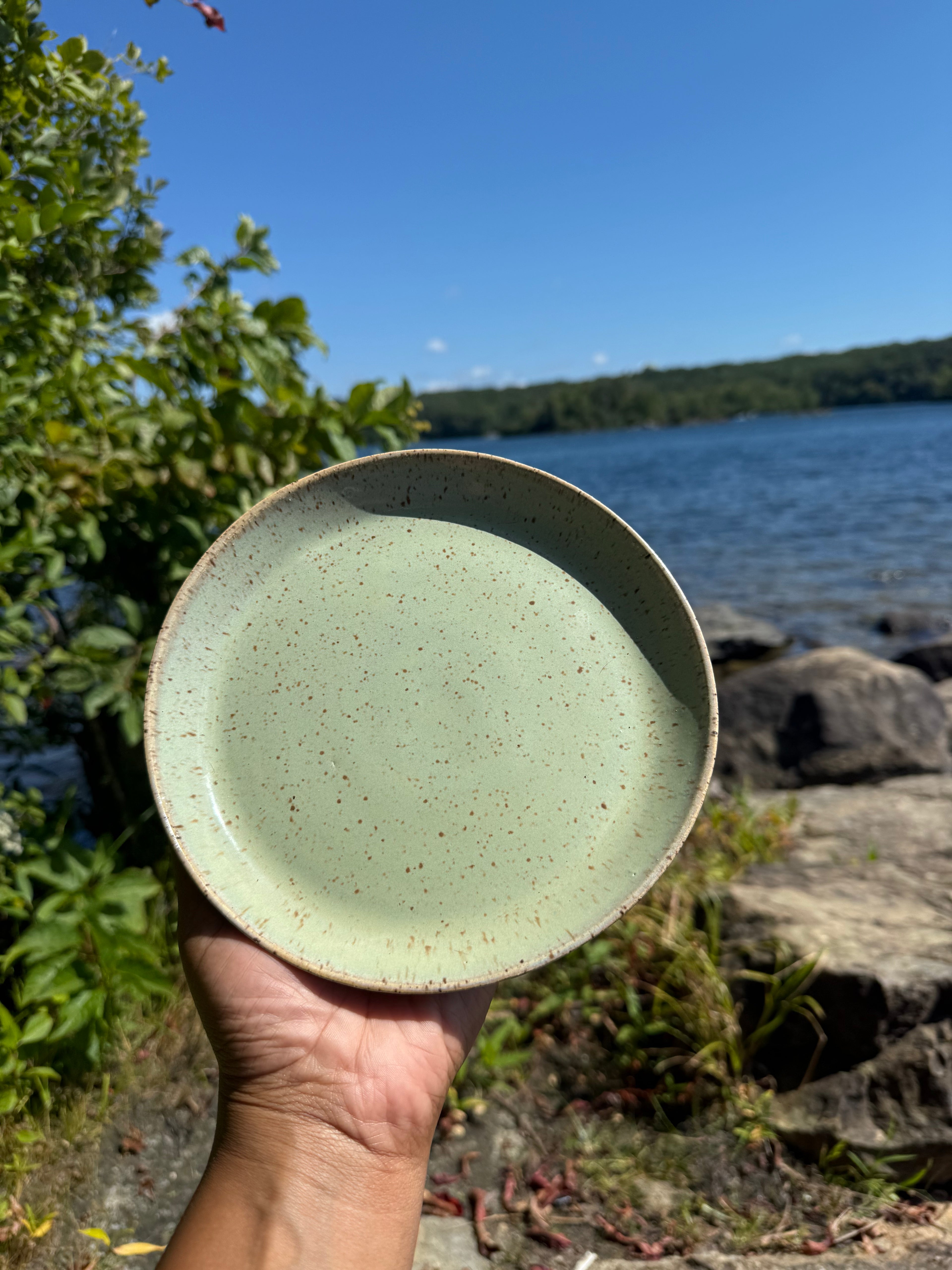 Meadow Bronze Plate