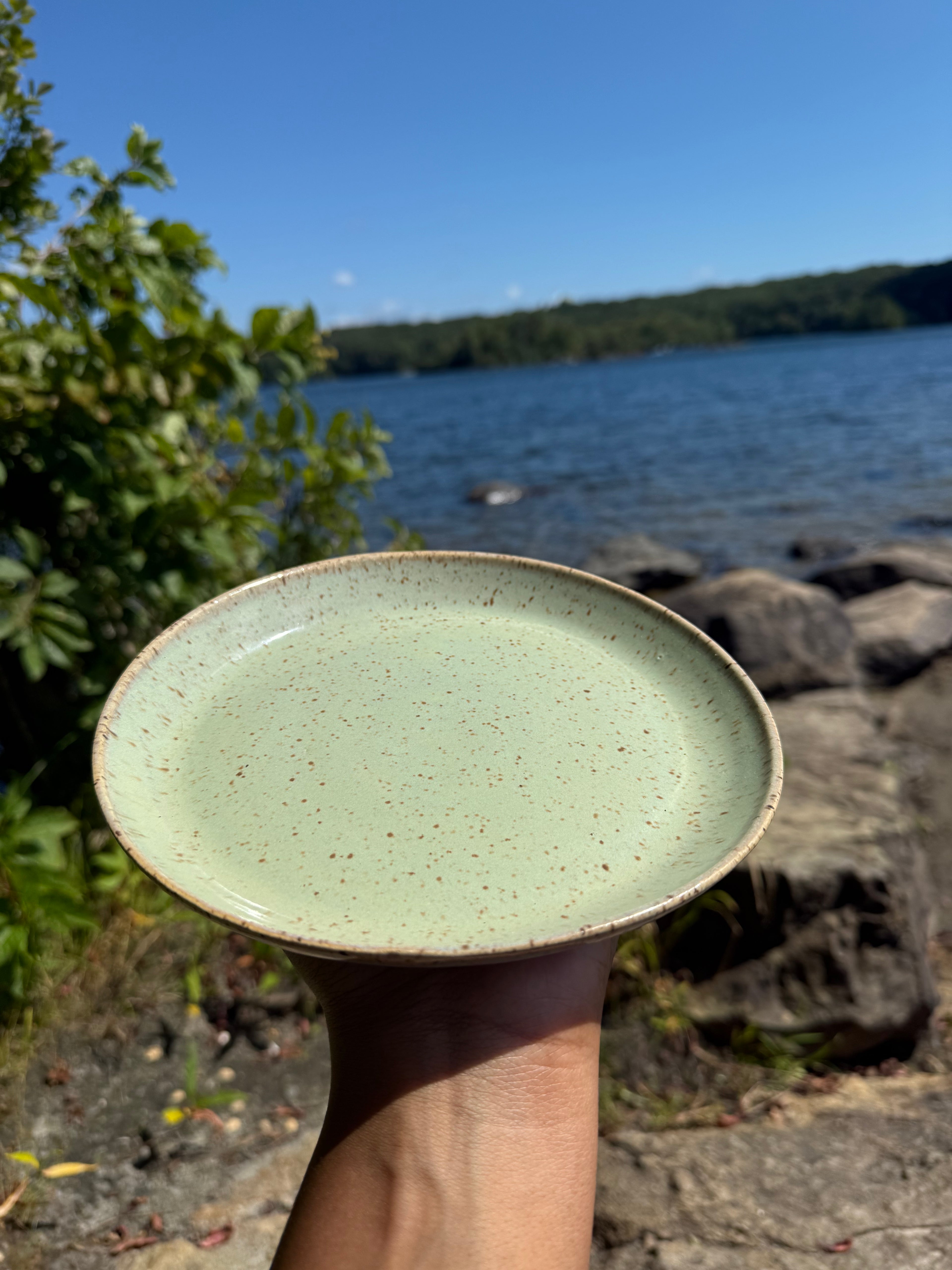 Meadow Bronze Plate